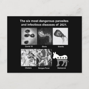 The 6 most dangerous parasites & infectious 2021 postcard