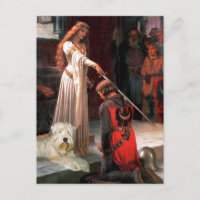 The Accolade - Wheaten Terrier 1