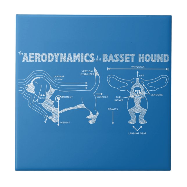 The Aerodynamics of a Basset Hound Tile (Front)