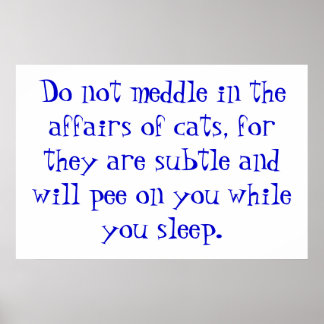 The Affairs of Cats Poster