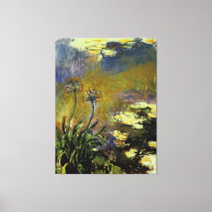 The Agapanthus Canvas Print