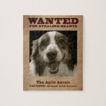 The Agile Aussie