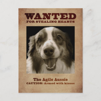 The Agile Aussie Postcard