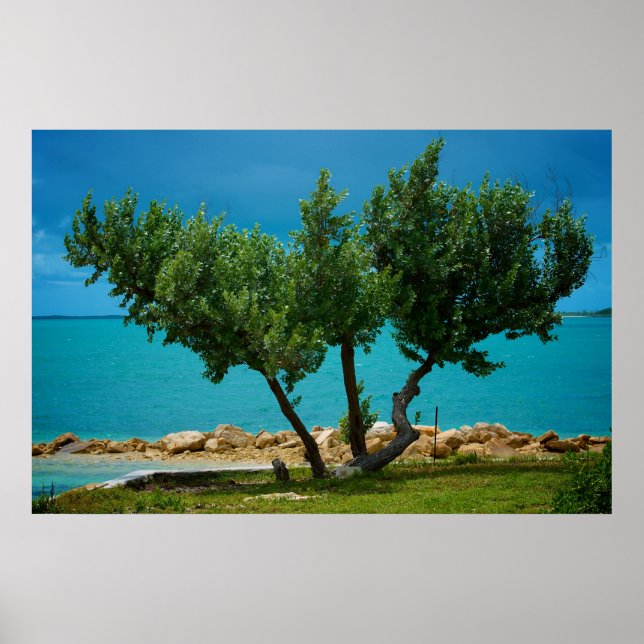 The "All You Need is Love" Tree ! Poster (Front)