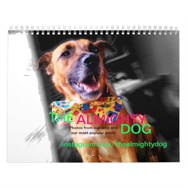The Almighty Dog's Cutest Animals Calendar! Calendar (Cover)