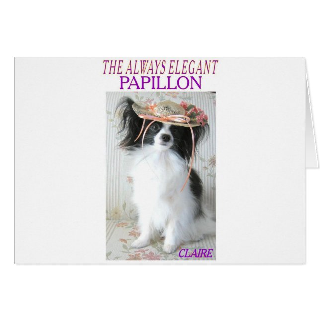 THE ALWAYS ELEGANT PAPILLON (Front Horizontal)