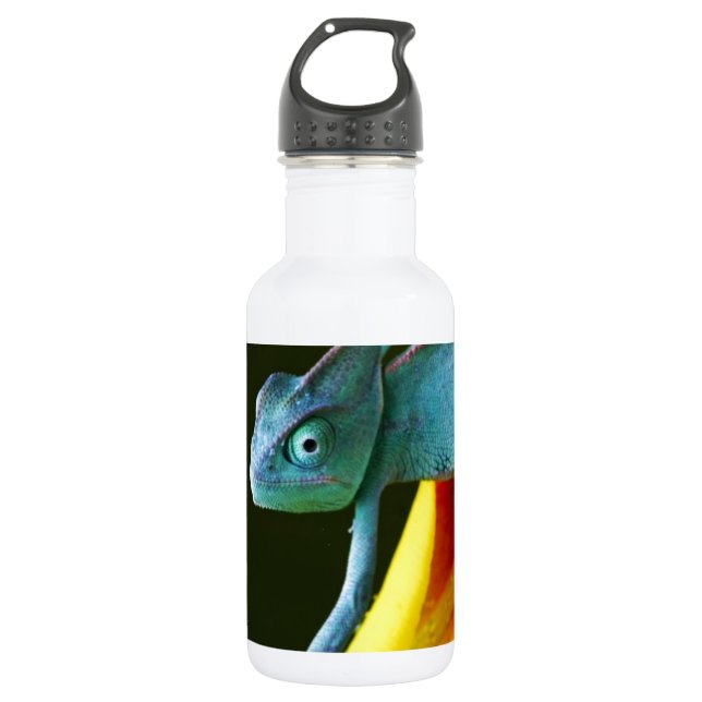 The Amazing Chameleon 532 Ml Water Bottle (Front)