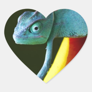 The Amazing Chameleon Heart Sticker