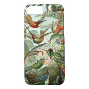 The Amazing hummingbirds Image by Ernst Haeckel Case-Mate iPhone Case
