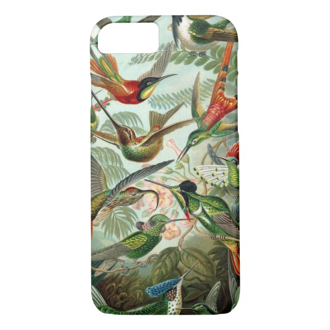 The Amazing hummingbirds Image by Ernst Haeckel Case-Mate iPhone Case (Back)