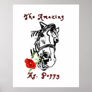 THE AMAZING MR. POPPY POSTER