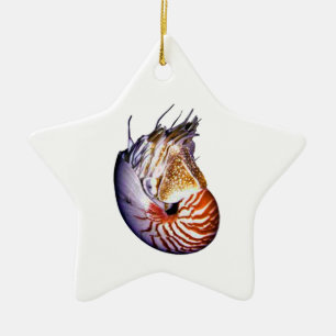 THE AMAZING NAUTILUS CERAMIC ORNAMENT