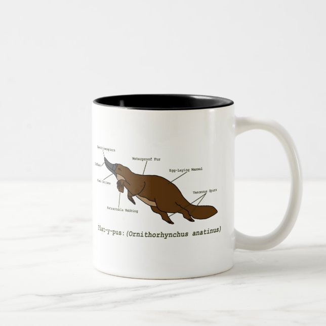 The Amazing Platypus Mug (Right)