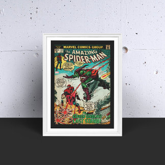 The Amazing Spider-Man Comic #122 Poster