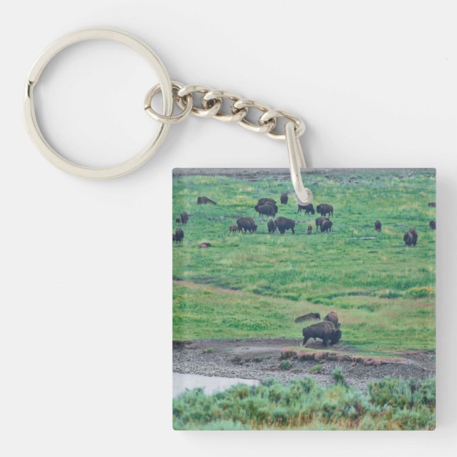 The American Bison Keychain (Front)