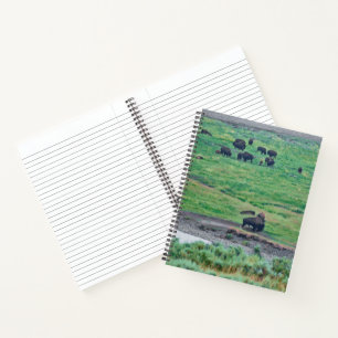 The American Bison Notebook
