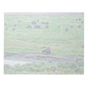 The American Bison Notepad