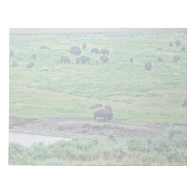 The American Bison Notepad (Front)