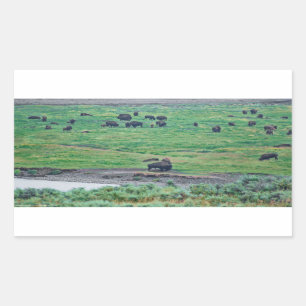 The American Bison Sticker
