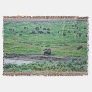 The American Bison Throw Blanket