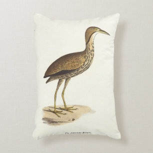 The American Bittern (Botaurus lentiginosus) Bird  Accent Pillow