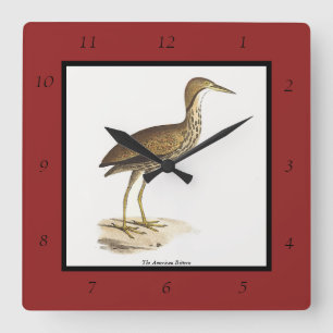 The American Bittern (Botaurus lentiginosus) Bird Square Wall Clock