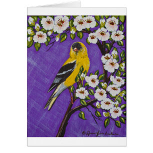 The American Goldfinch