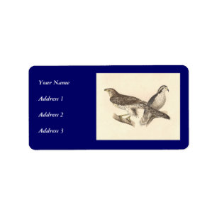 The American Goshawk (Astur atricapillus) Label
