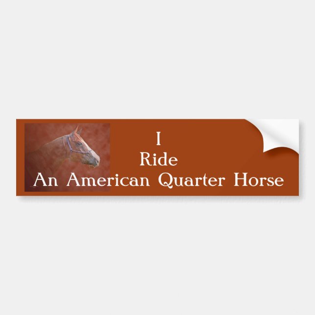 The American Quarter Horse Bumper Sticker (Front)