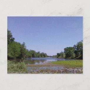 The American River Sacramento,CA Postcard