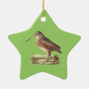 The American Woodcock (Rusticola minor) NY Bird Ceramic Ornament