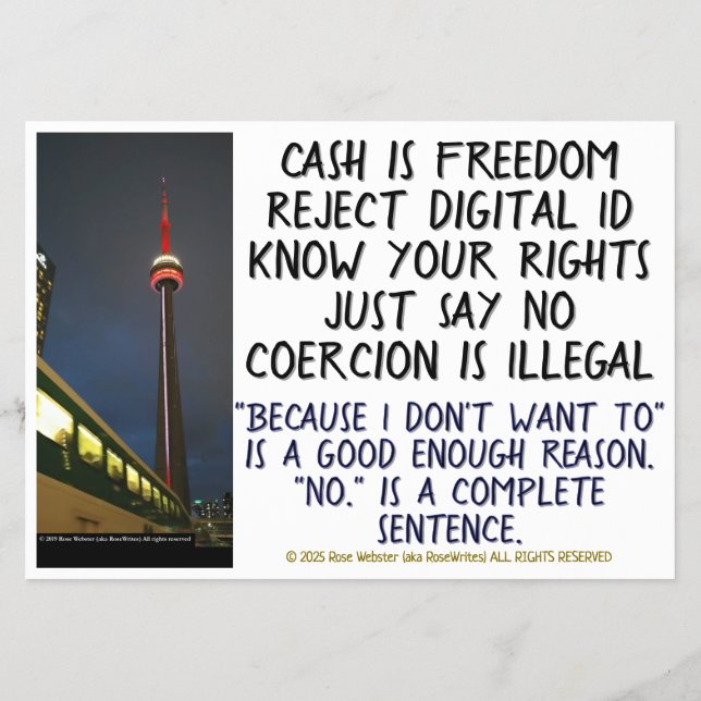 The Amish WON by RoseWrites Flyer (Back)