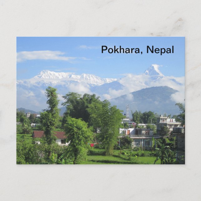 The Anapurnas from Pokhara Postcard (Front)