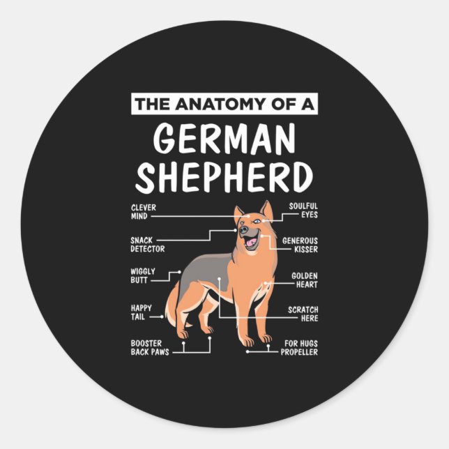 The Anatomy Of A German Shepherd Classic Round Sticker (Front)