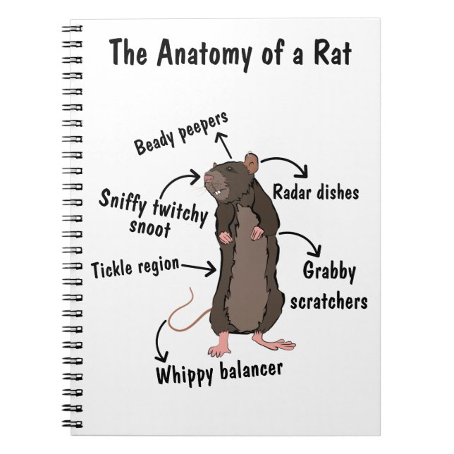 The Anatomy of a Rat Notebook (Front)