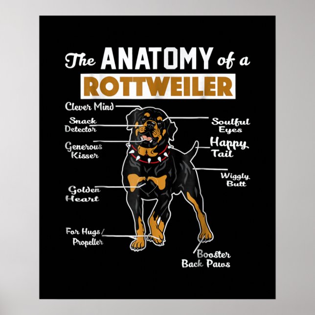 The Anatomy Of A Rottweiler | Cool Dog Lover Poster (Front)
