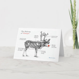 the Anatomy of Rudolph Christmas Card