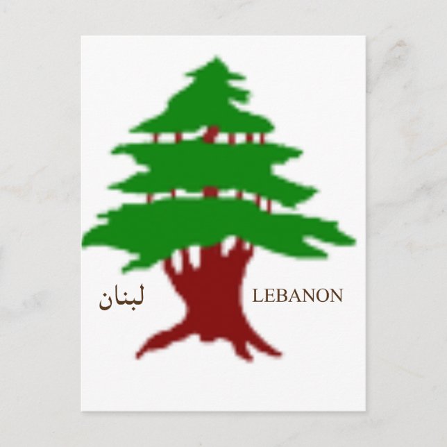 The Ancient Cedar of Lebanon  Post Card (Front)