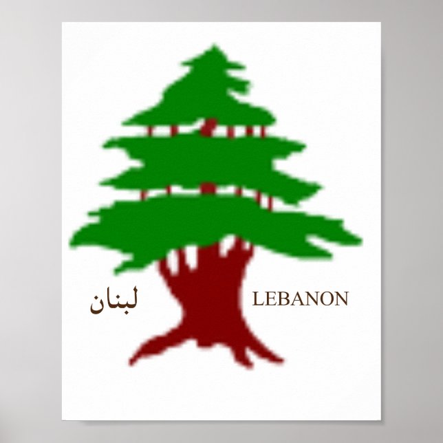 The Ancient Cedar of Lebanon  Poster (Front)