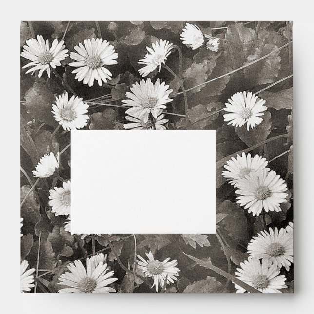 The Ancient of Daisies Envelopes (Front)