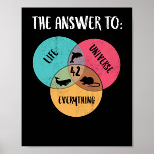 The Answer To Life Universe Everything Dolphin Poster