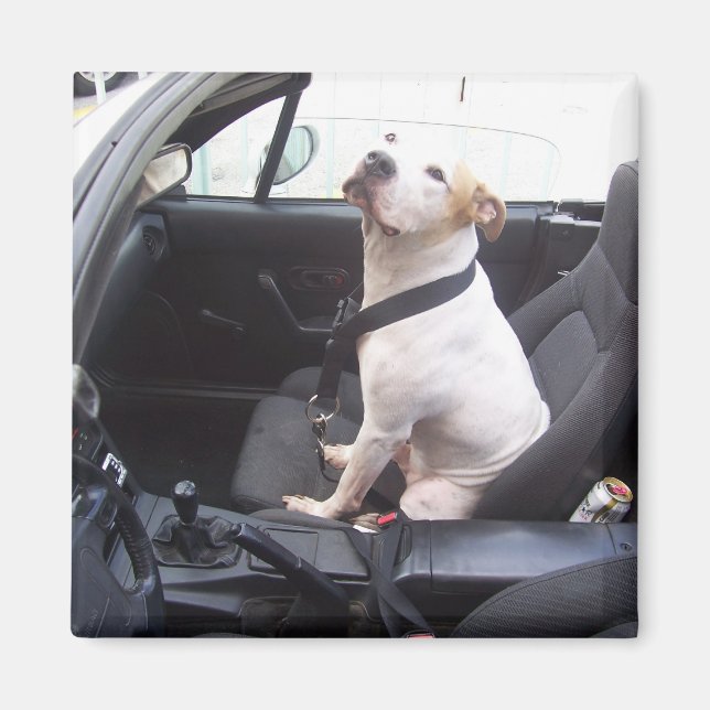 The Anti Michael Vick Magnet (Front)