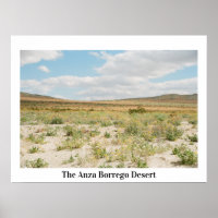 The Anza Borrego Desert