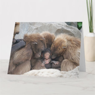 The Ape Family Card
