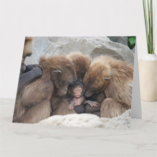 The Ape Family Card