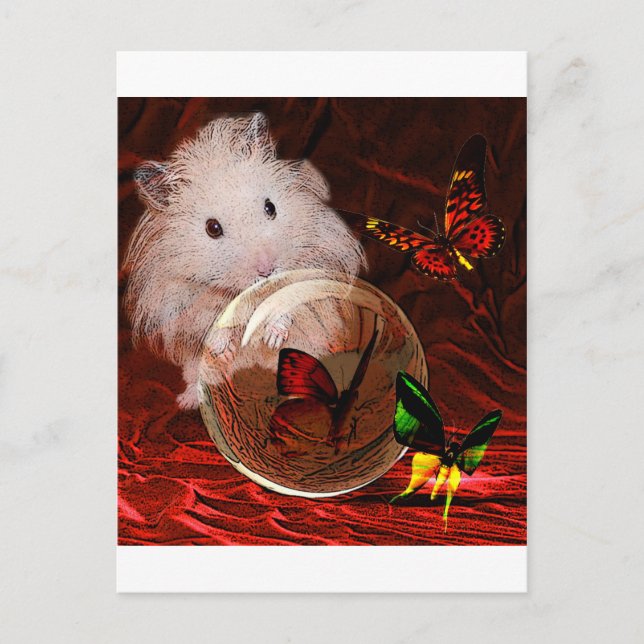 THE APRENTICE POSTCARD (Front)