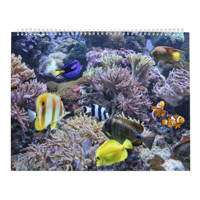 The Aquarium Calendar (Cover)