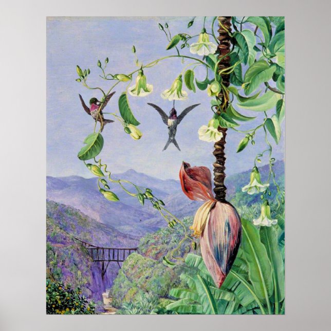 The Aqueduct of Morro Velho Poster (Front)