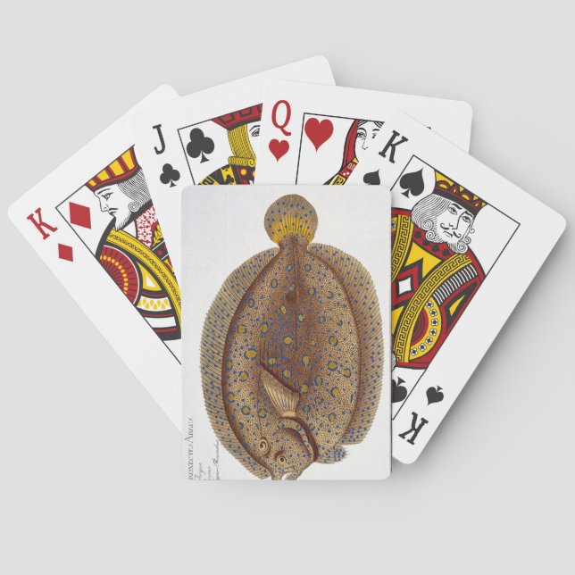 The Argus Flounder (Pleuronectes Argus) plate XLVI Playing Cards (Back)