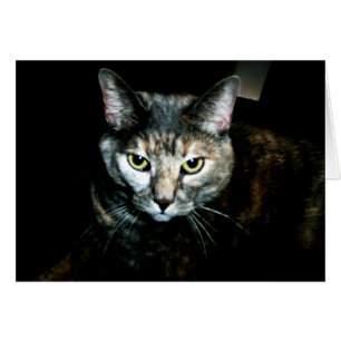 The Art Of Cat